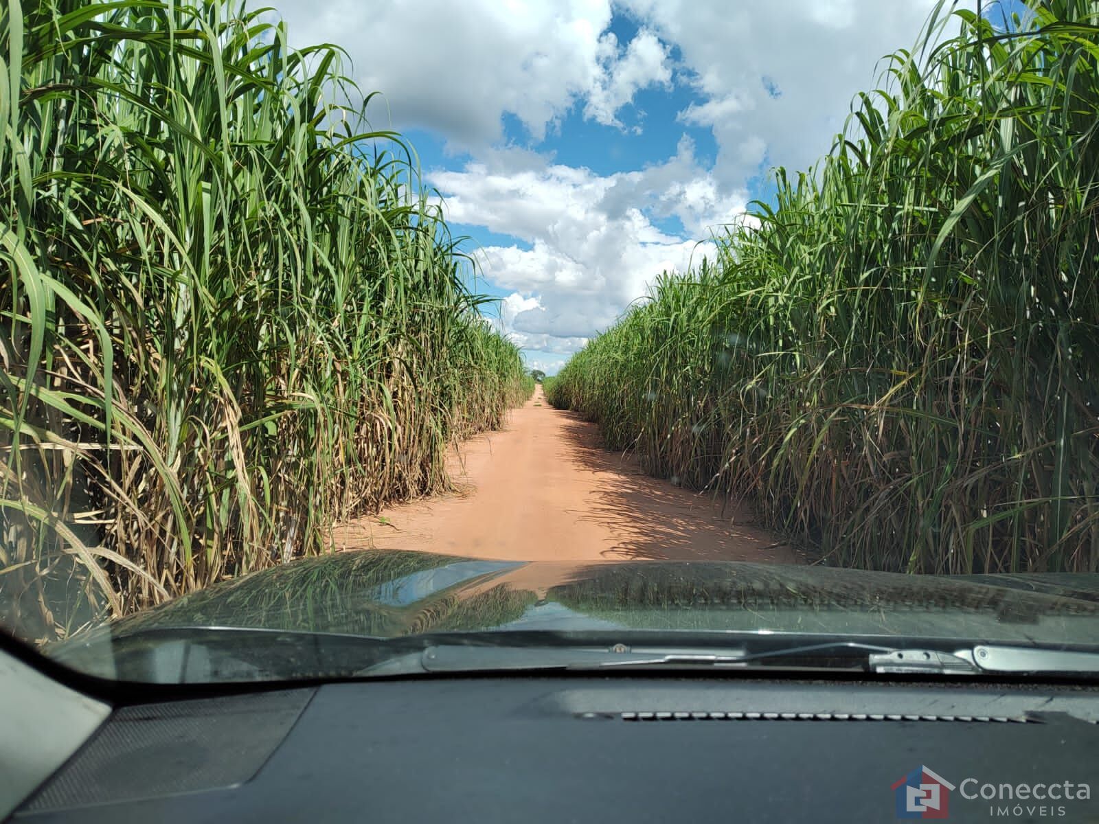 Fazenda à venda, 8080000m² - Foto 9