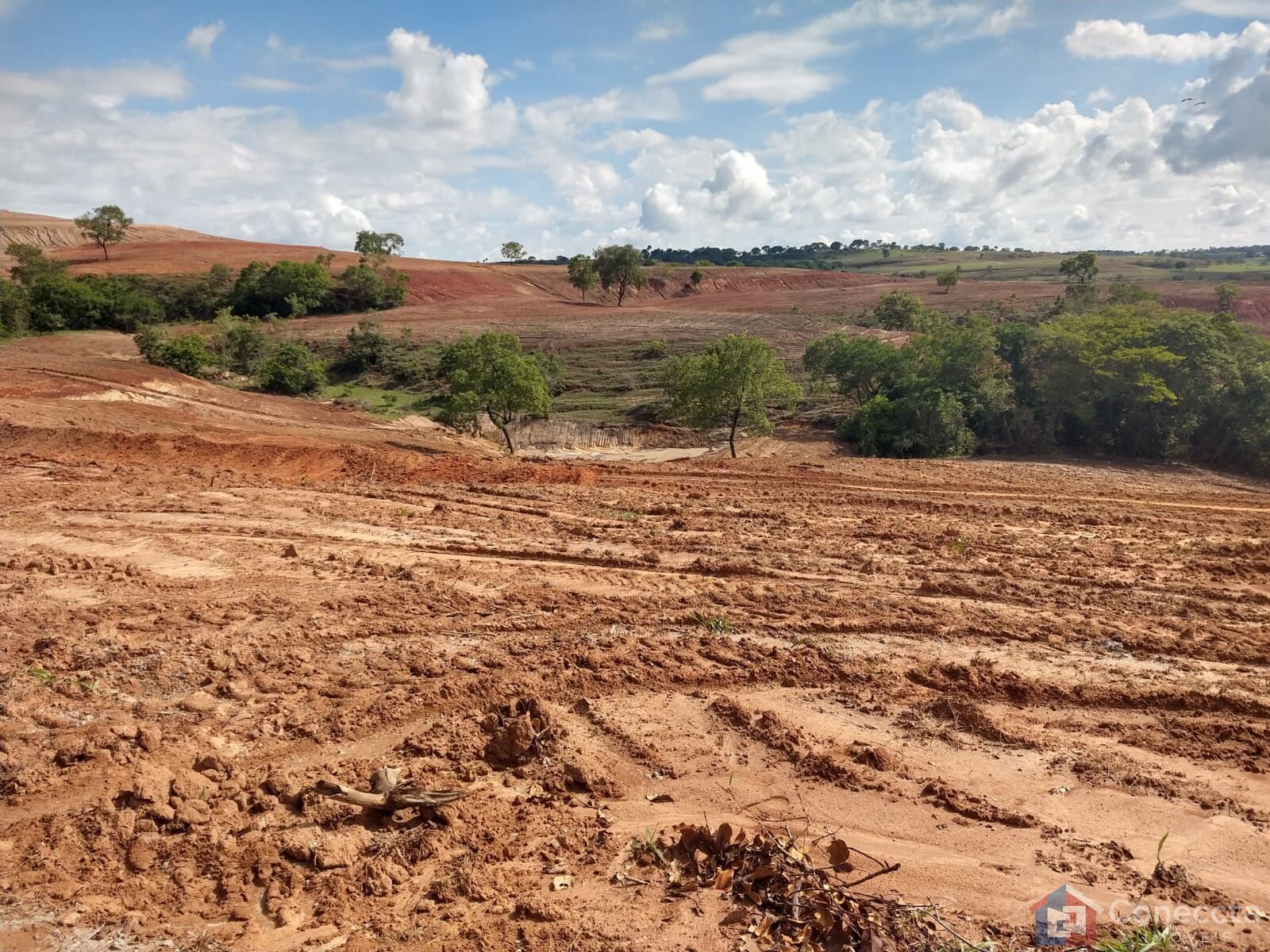 Fazenda à venda, 8080000m² - Foto 4