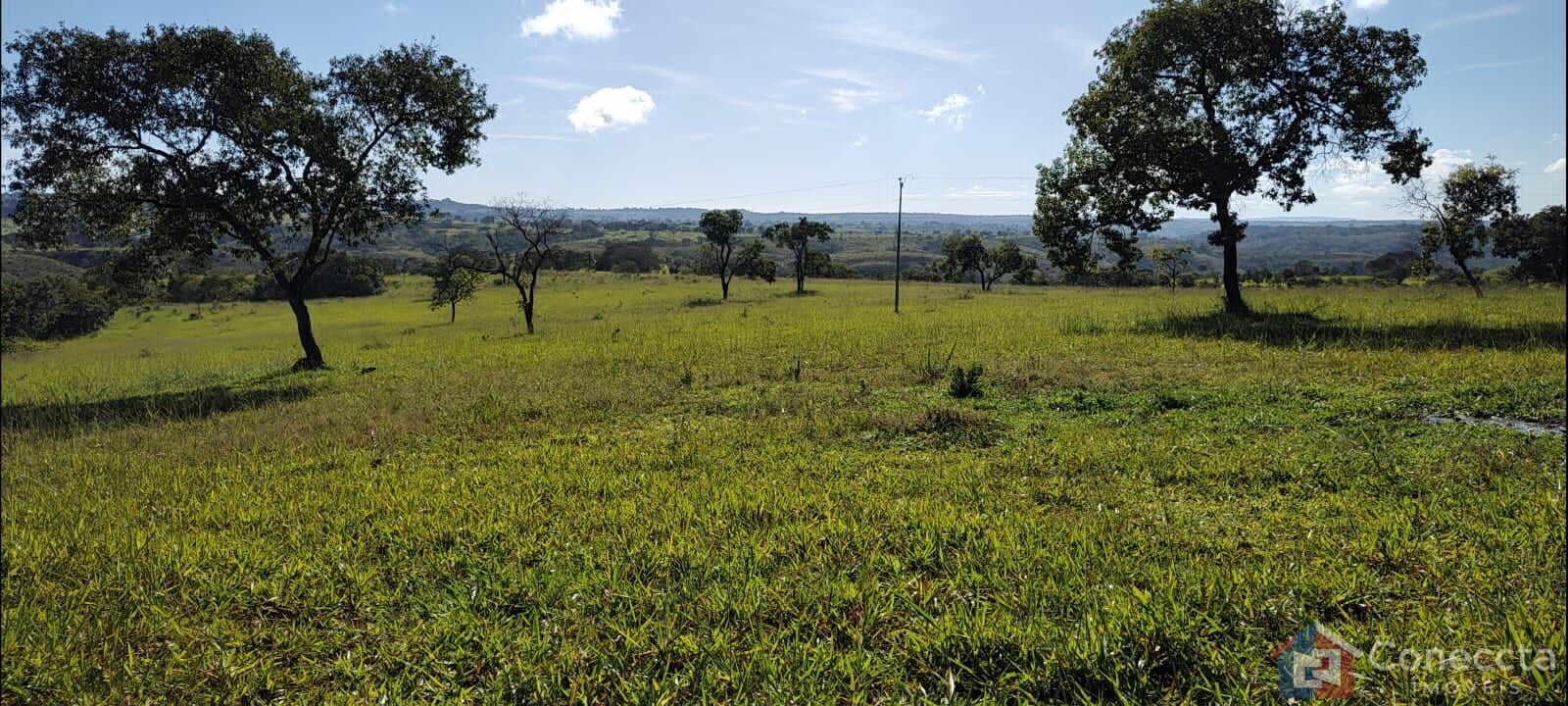 Fazenda à venda, 8080000m² - Foto 12