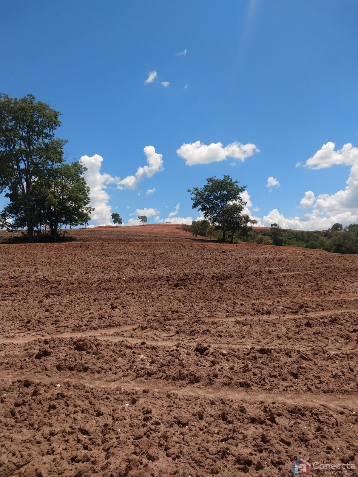 Fazenda à venda, 8080000m² - Foto 31