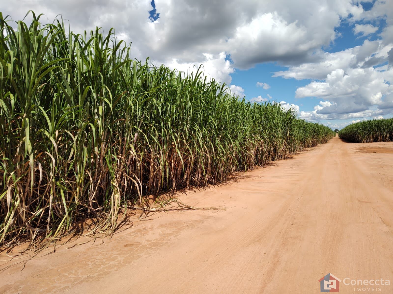 Fazenda à venda, 8080000m² - Foto 10