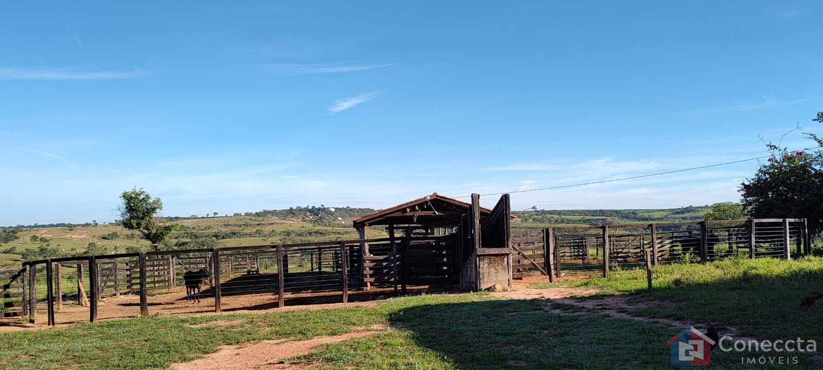 Fazenda à venda, 8080000m² - Foto 14