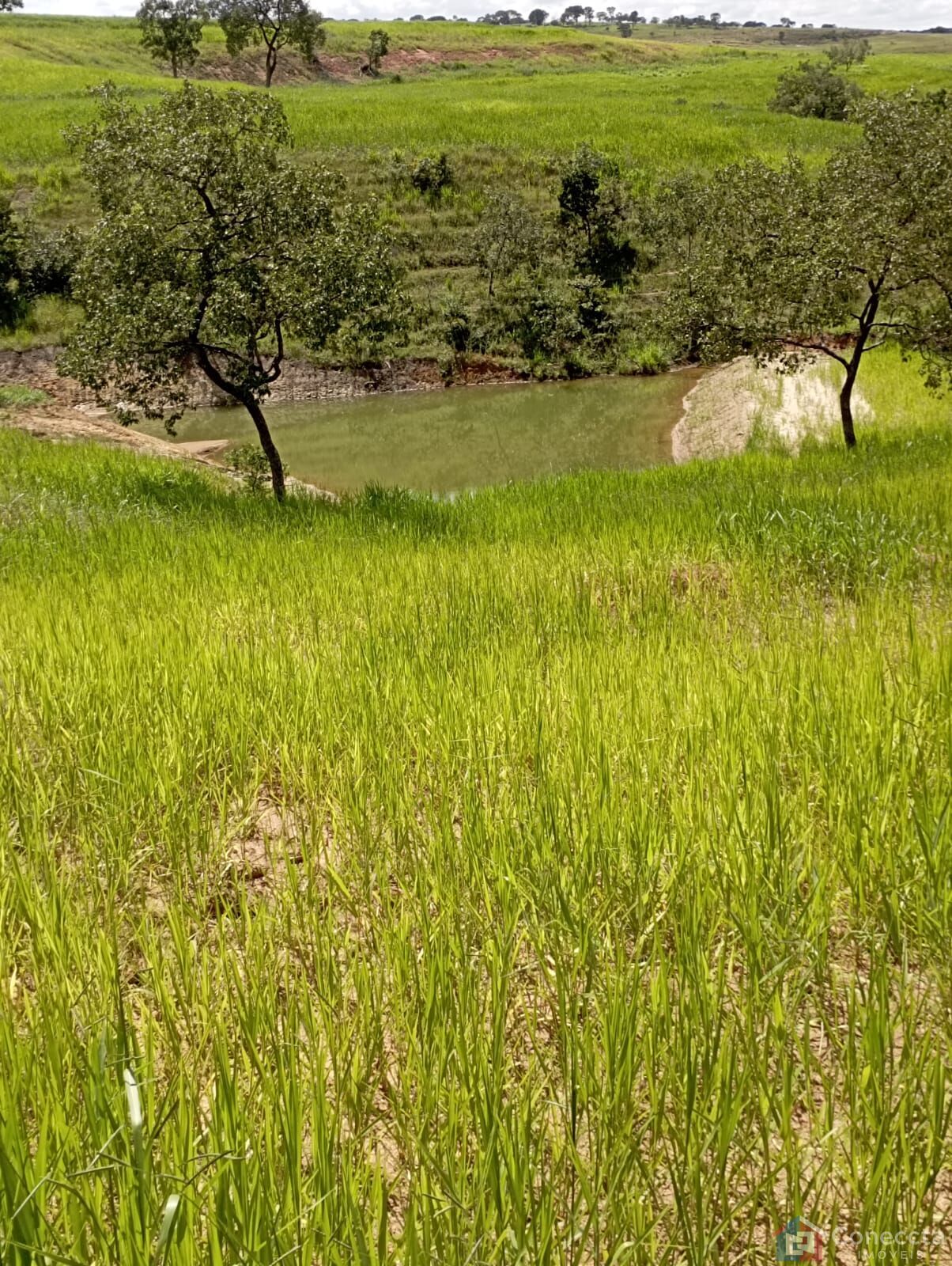 Fazenda à venda, 8080000m² - Foto 3