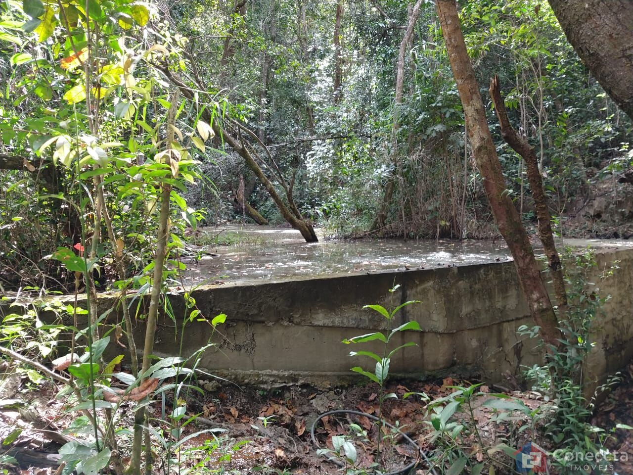 Fazenda à venda, 8080000m² - Foto 19