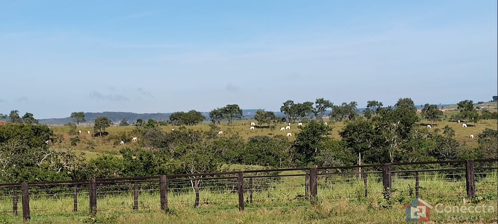 Fazenda à venda, 8080000m² - Foto 11