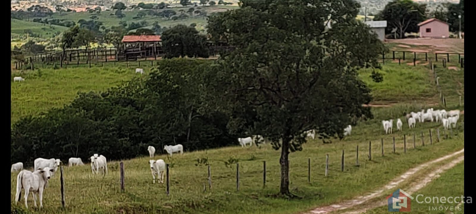 Fazenda à venda, 8080000m² - Foto 8