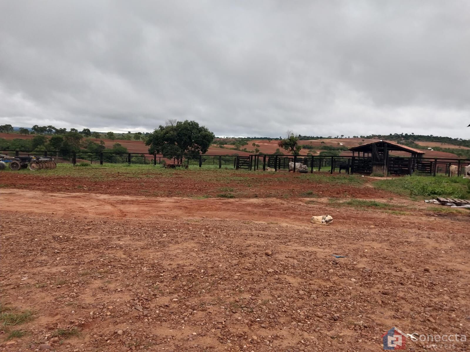 Fazenda à venda, 8080000m² - Foto 24