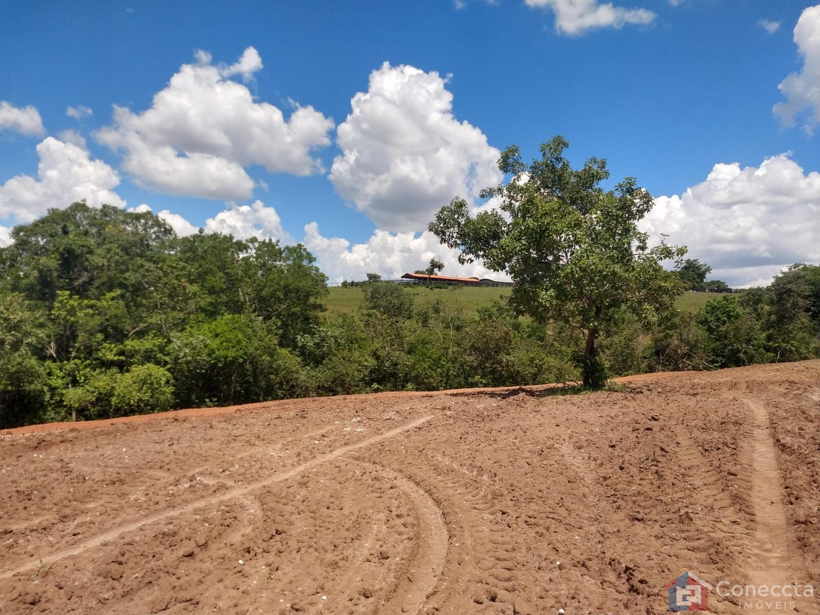 Fazenda à venda, 8080000m² - Foto 30