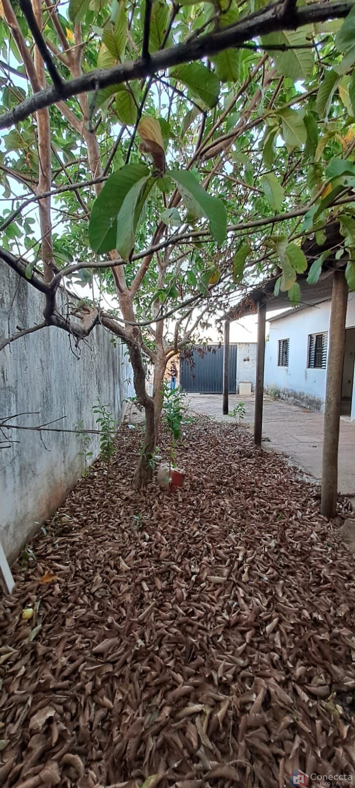 Casa, 2 quartos, 60 m² - Foto 29