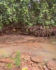 Fazenda, 59 hectares - Foto 1