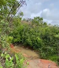 Fazenda, 59 hectares - Foto 4