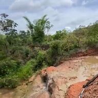 Fazenda, 59 hectares - Foto 3