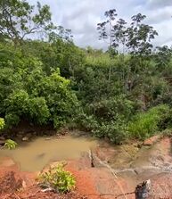 Fazenda, 59 hectares - Foto 2