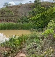 Fazenda, 59 hectares - Foto 5