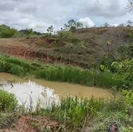 Fazenda, 59 hectares - Foto 6