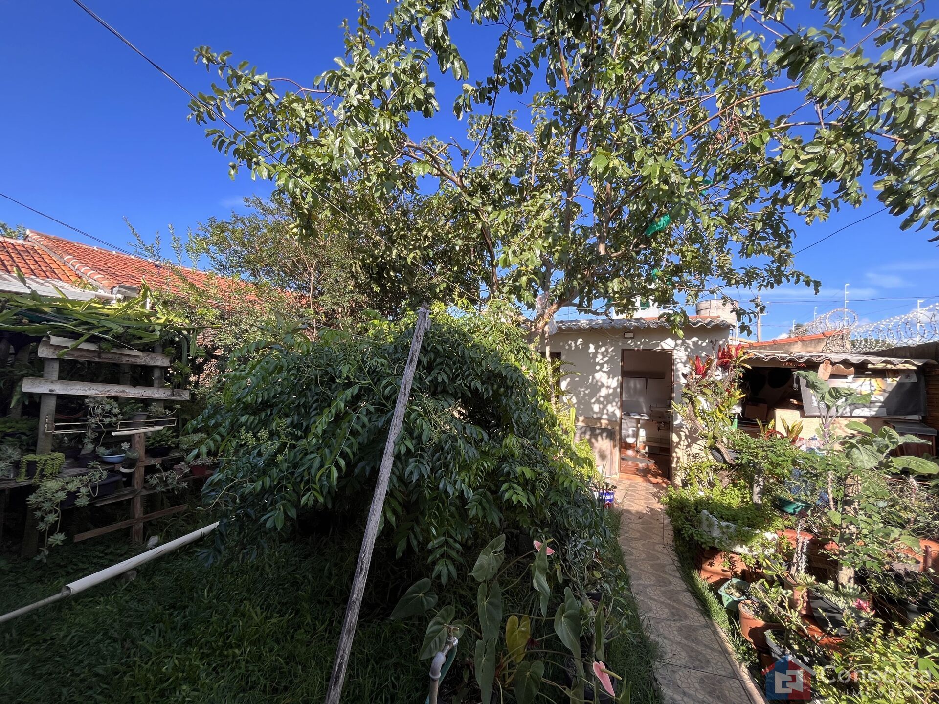 Casa, 2 quartos, 157 m² - Foto 4