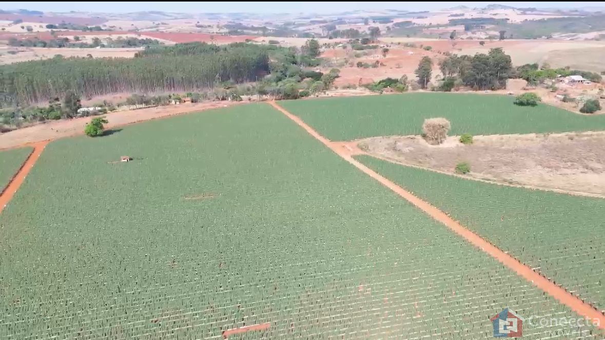 Fazenda à venda, 460000m² - Foto 5