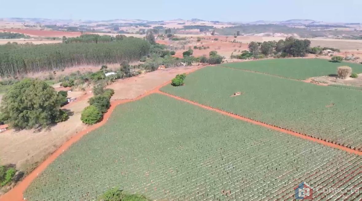 Fazenda à venda, 460000m² - Foto 7