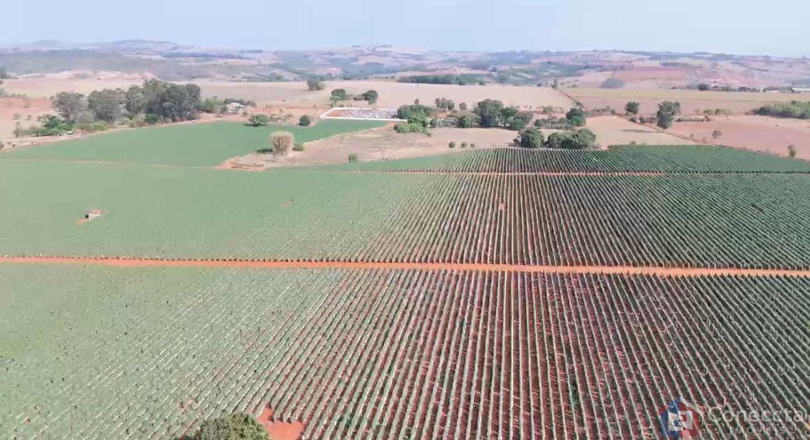 Fazenda à venda, 460000m² - Foto 1