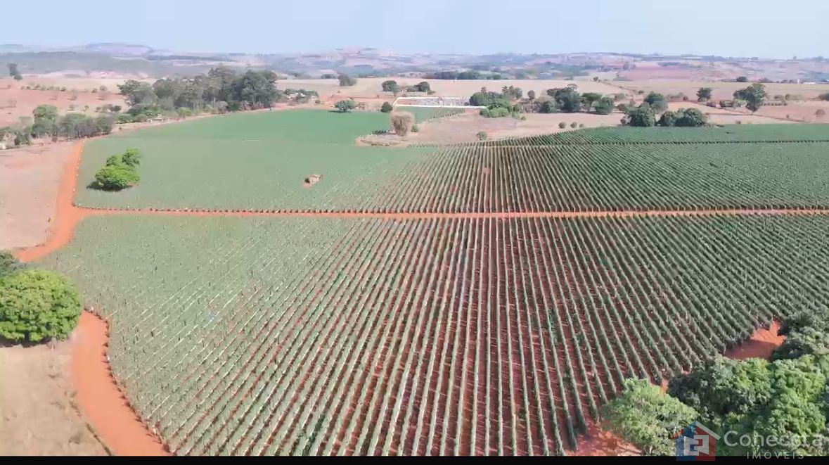 Fazenda à venda, 460000m² - Foto 6
