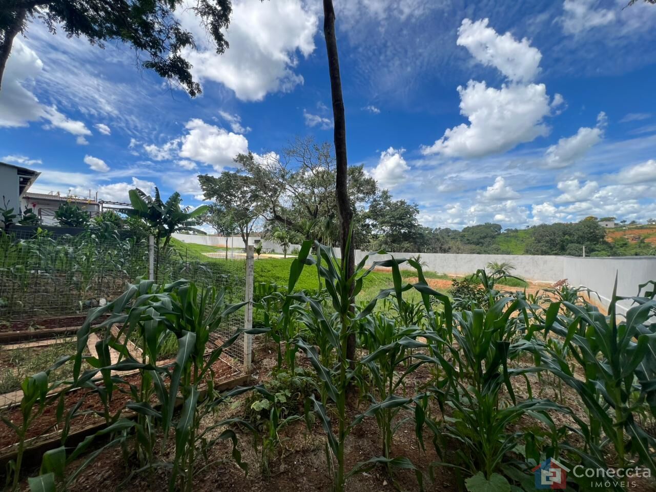 Chácara, 2 quartos, 2120 m² - Foto 30