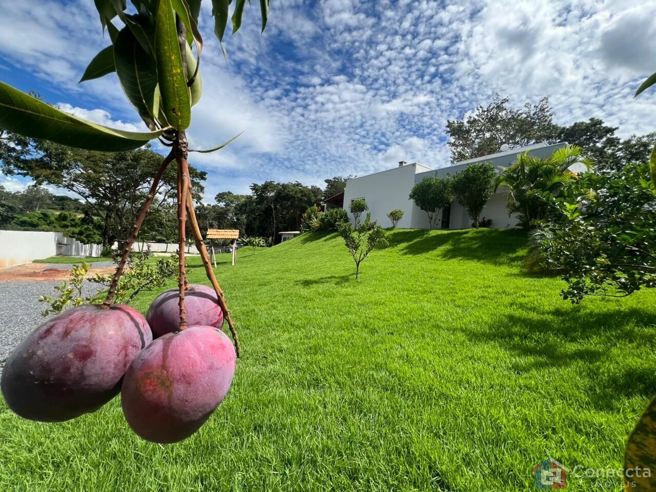 Chácara, 2 quartos, 2120 m² - Foto 23