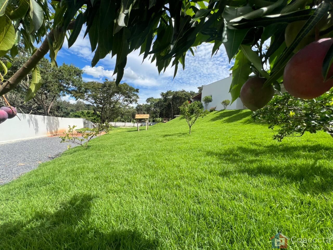 Chácara, 2 quartos, 2120 m² - Foto 27