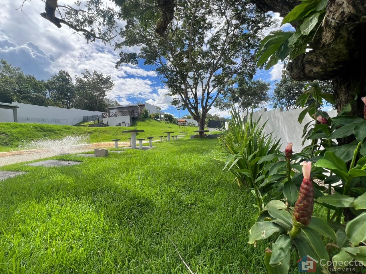 Chácara, 2 quartos, 2120 m² - Foto 19