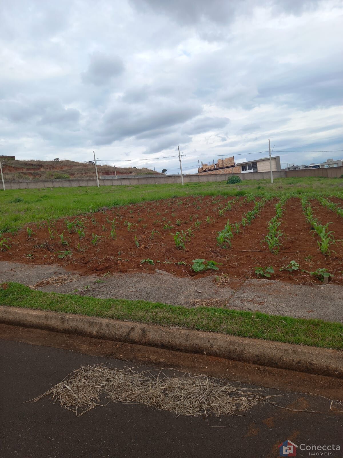 Terreno à venda, 364m² - Foto 1