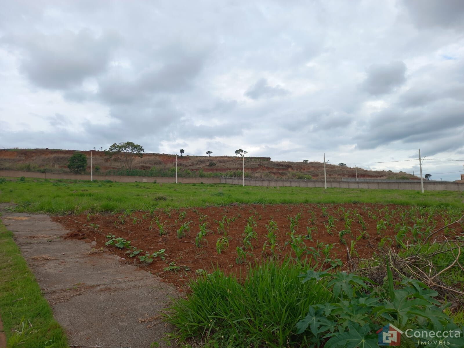 Terreno à venda, 364m² - Foto 3