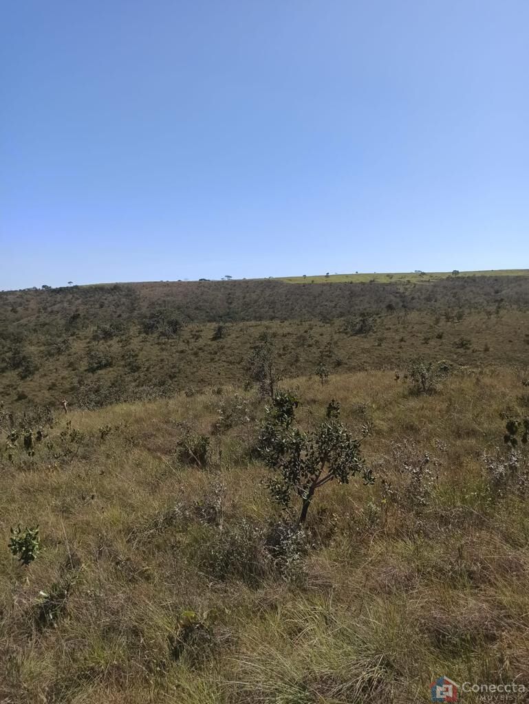 Fazenda 303 hectares em Patos de Minas com potencial para compensação ambiental e fruticultura