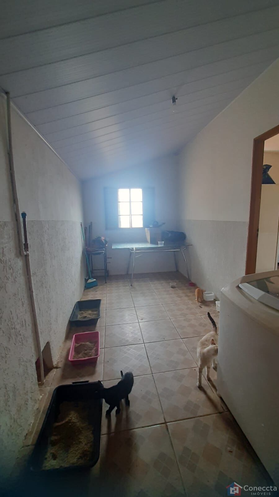 Casa à venda com 4 quartos, 167m² - Foto 14