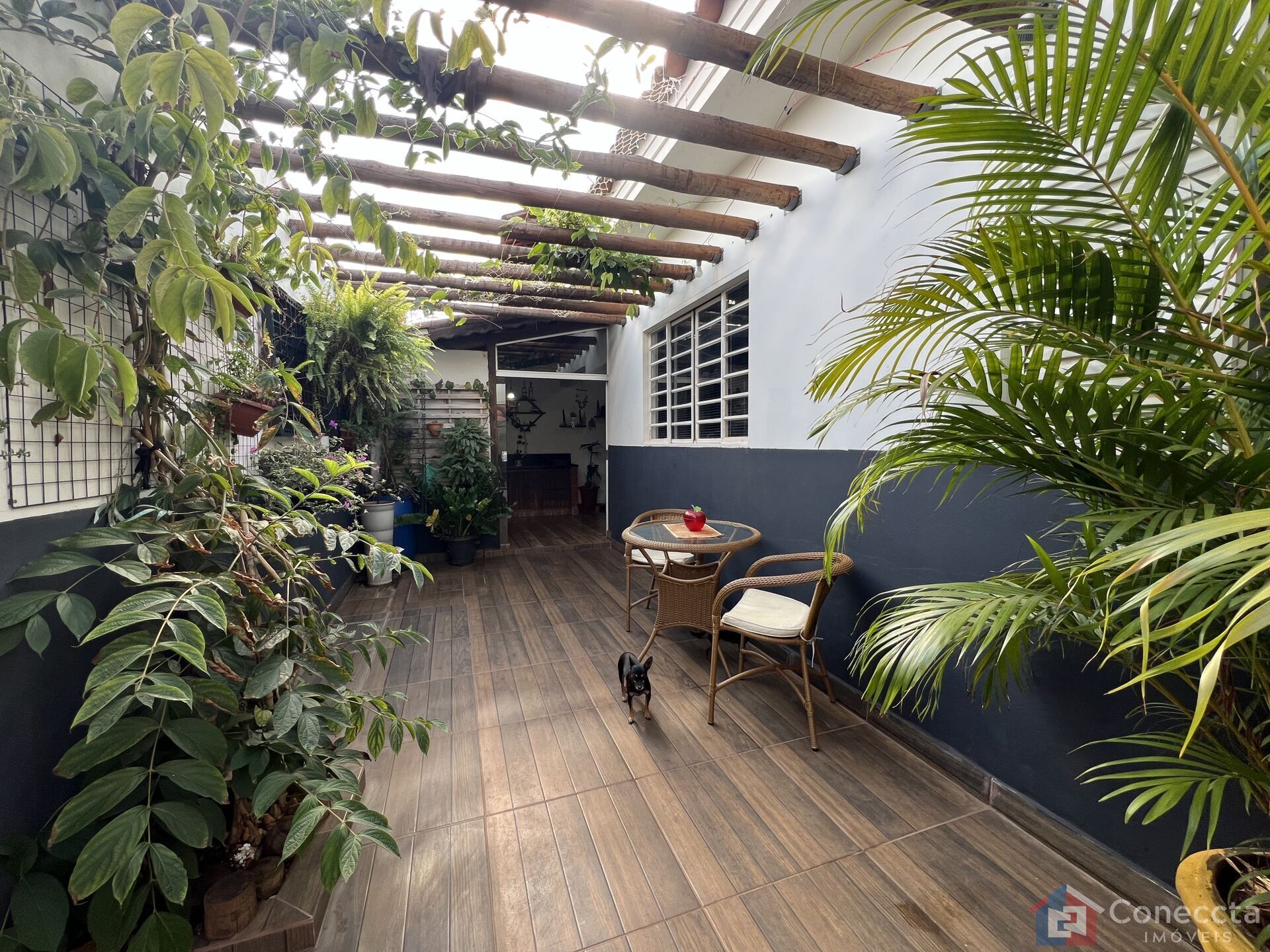 Casa, 3 quartos, 251 m² - Foto 17