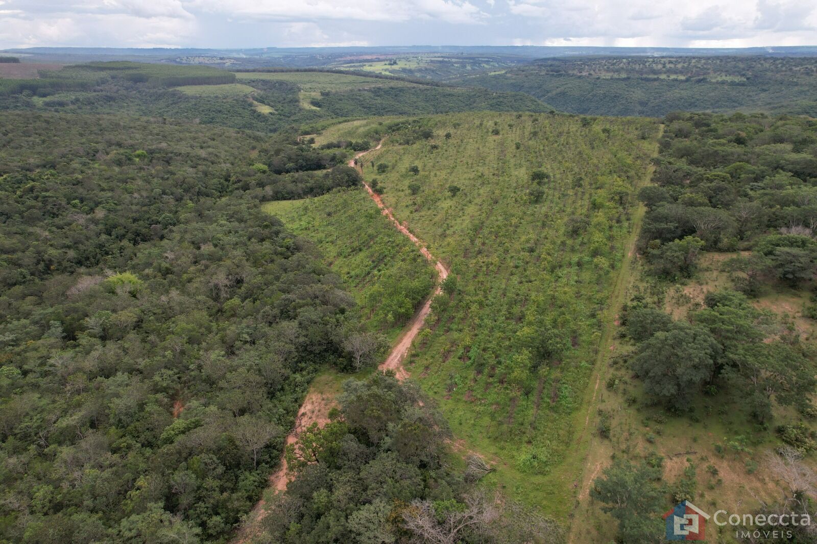 Fazenda à venda, 41000m² - Foto 10
