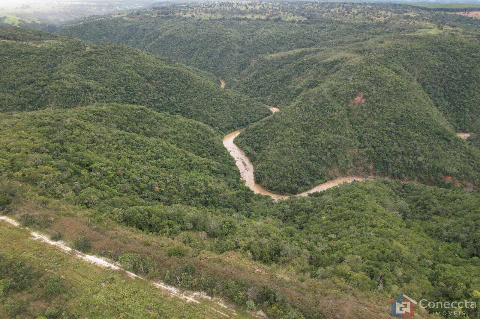 Fazenda à venda, 41000m² - Foto 5