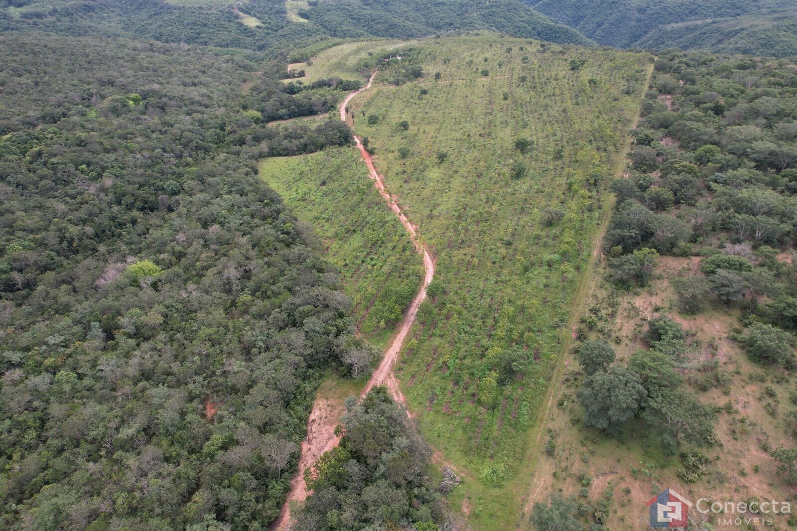 Fazenda à venda, 41000m² - Foto 9