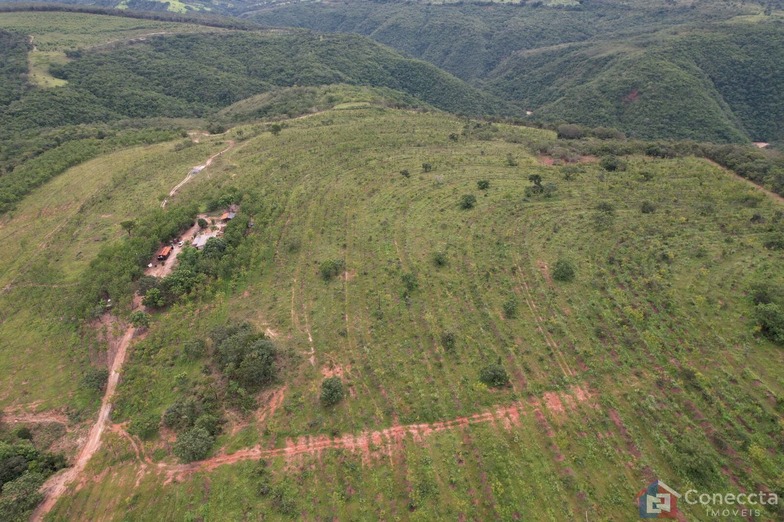 Fazenda à venda, 41000m² - Foto 8