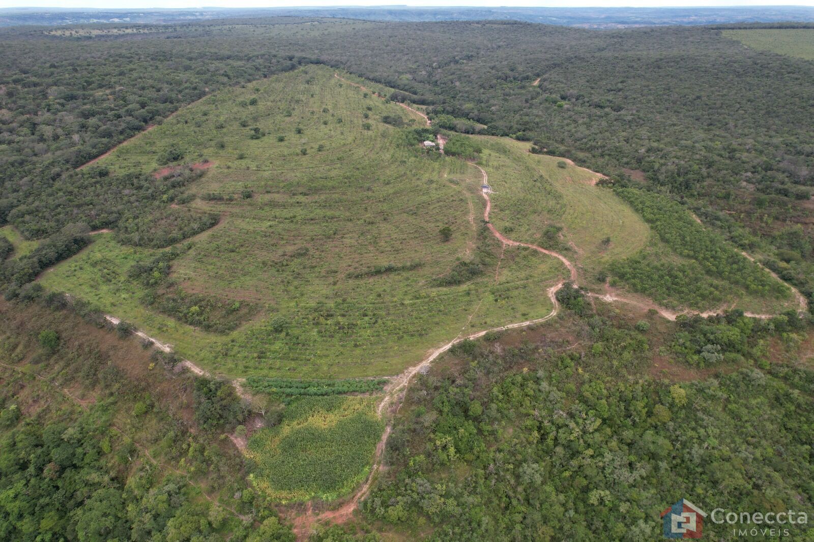 Fazenda à venda, 41000m² - Foto 11