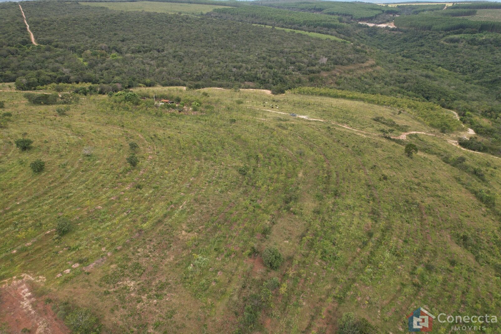Fazenda à venda, 41000m² - Foto 13