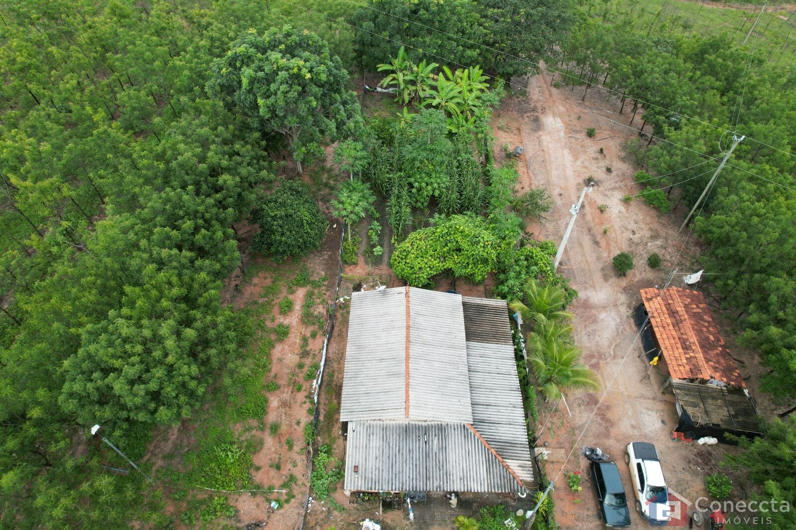 Fazenda à venda, 41000m² - Foto 3