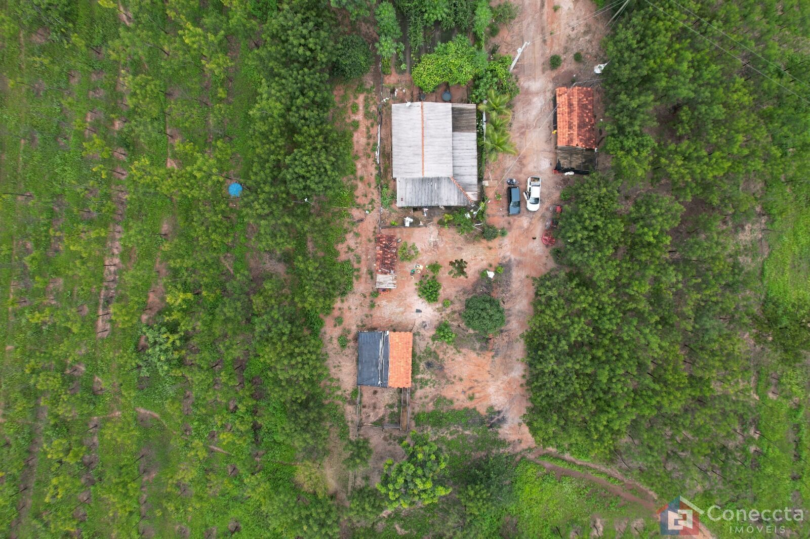 Fazenda à venda, 41000m² - Foto 12