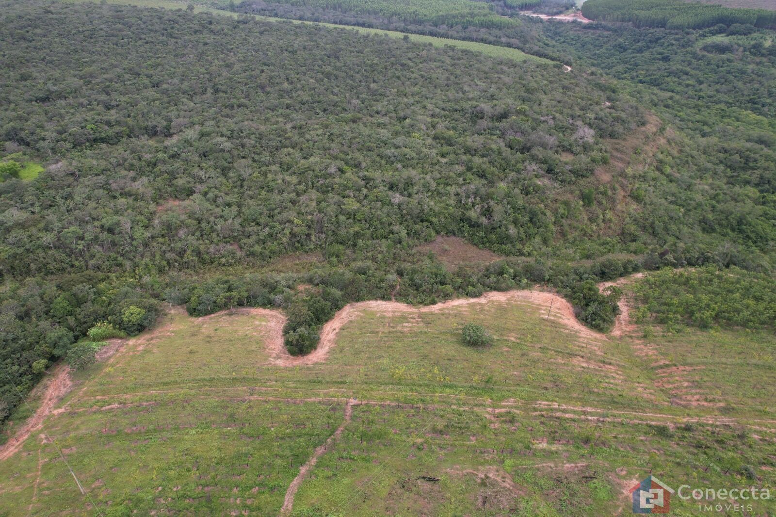 Fazenda à venda, 41000m² - Foto 7