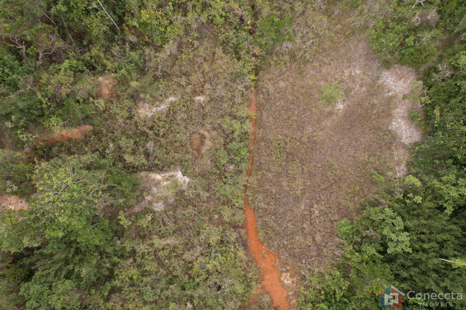 Fazenda à venda, 41000m² - Foto 14