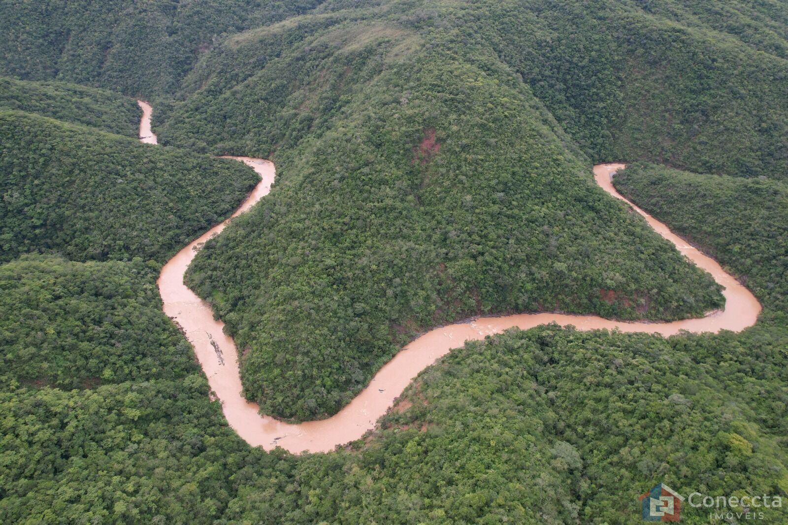 Fazenda à venda, 41000m² - Foto 4
