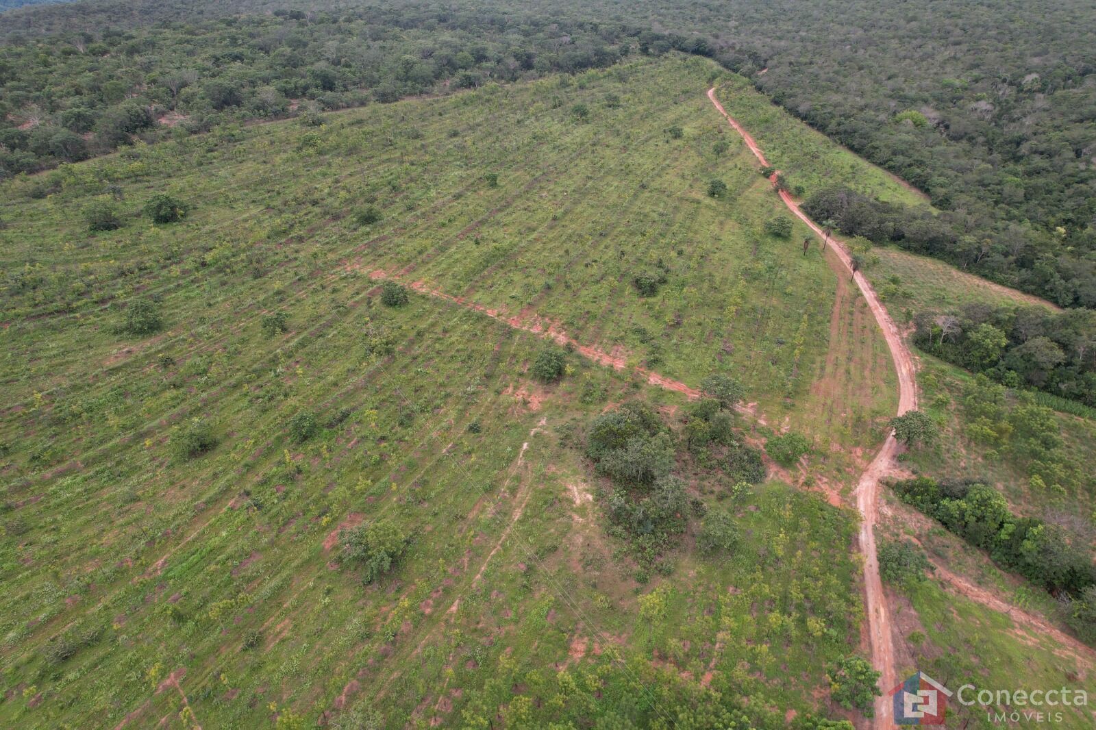 Fazenda à venda, 41000m² - Foto 6