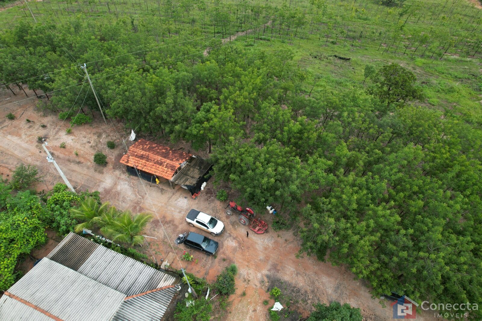 Fazenda à venda, 41000m² - Foto 2