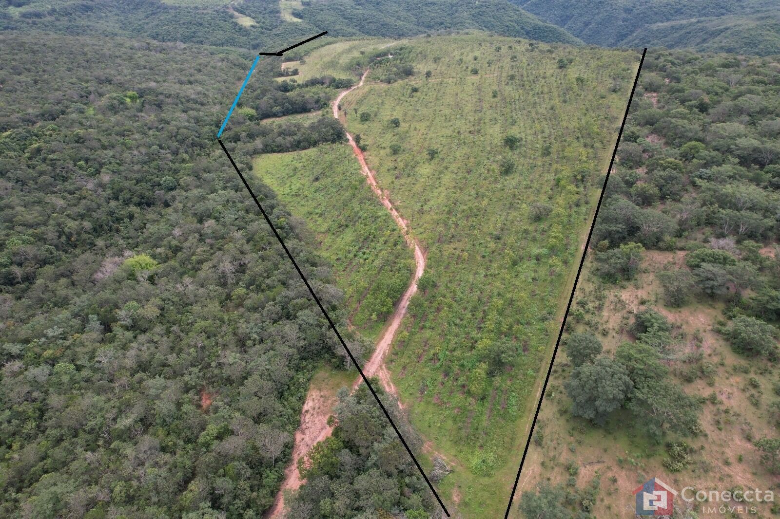 Fazenda à venda, 41000m² - Foto 17