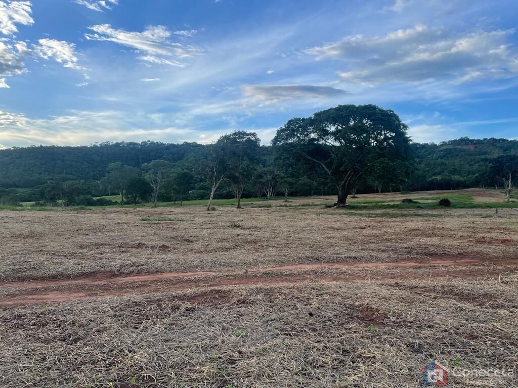 Fazenda à venda, 1255000m² - Foto 11