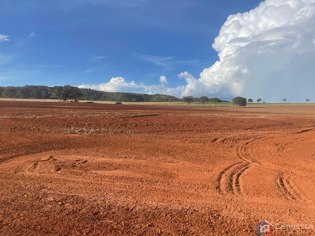 Fazenda à venda, 1255000m² - Foto 15