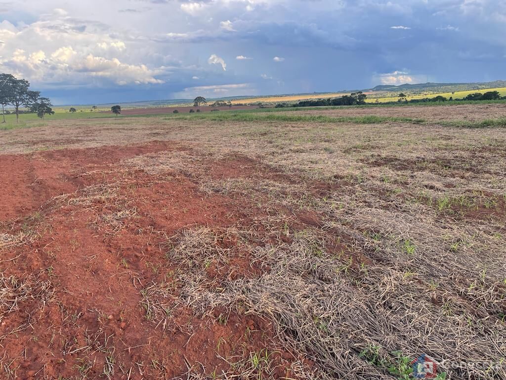 Fazenda à venda, 1255000m² - Foto 12